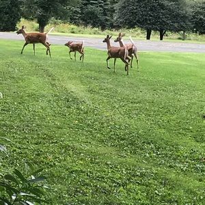 Meet your Posher, Ismael